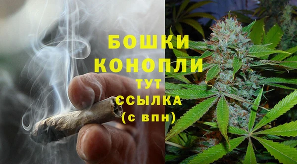 винт Верея