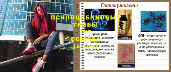 дурь Сосновка
