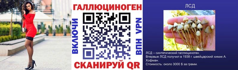 гидра ONION  Павловский Посад  Псилоцибиновые грибы Cubensis  даркнет сайт 